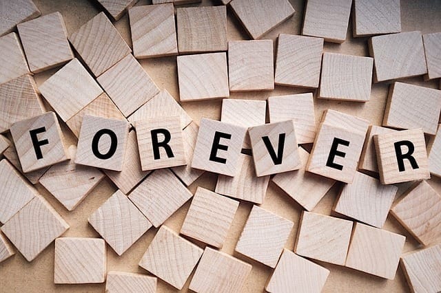 “Forever Forever” — Placement Day is Set